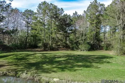 32730 Bill Williams Rd, Walker, LA 70785 photo 15