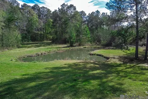 32730 Bill Williams Rd, Walker, LA 70785 photo 14