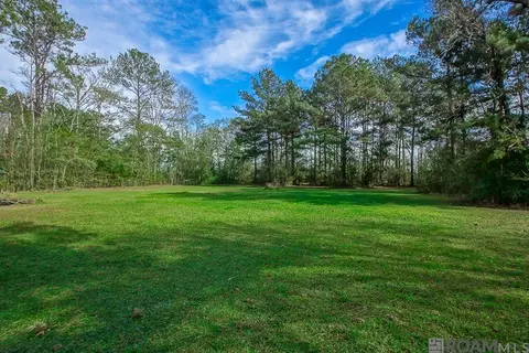 32730 Bill Williams Rd, Walker, LA 70785 photo 13