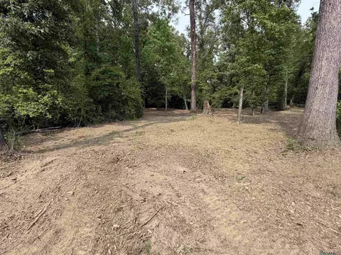 4343 Feliciana Ct, Clinton, LA 70722