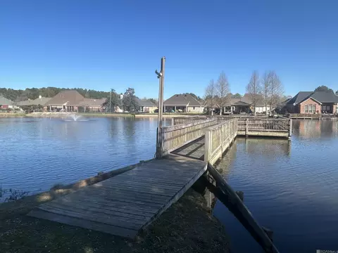 Other - 34113 Spring Lake Dr, Walker, LA 70785 photo 13 of 14