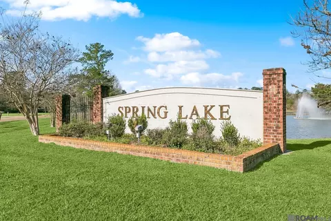 Other - 34113 Spring Lake Dr, Walker, LA 70785 photo 7 of 14
