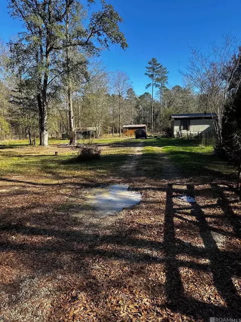 25066 Lobell Rd, Livingston, LA 70754