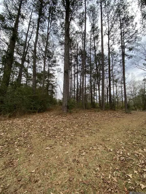 tbd La Hwy 1043, Greensburg, LA 70441