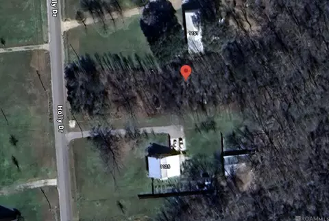 1139 Holly Dr, Slaughter, LA 70777