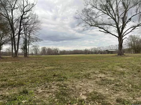 A-1-b Lemon Rd, Slaughter, LA 70777 photo 5