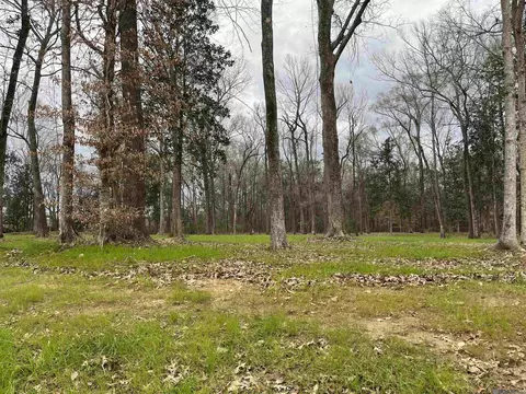 A-1-b Lemon Rd, Slaughter, LA 70777 photo 3
