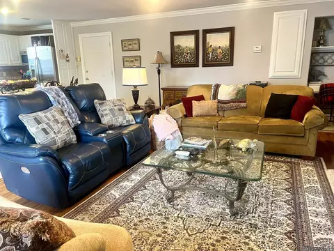 Living - 32875 Rivergate Cir # 1, Springfield, LA 70462 photo 3 of 3