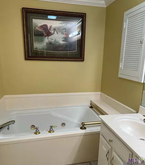 Other - 32875 Rivergate Cir # 1, Springfield, LA 70462 photo 9 of 9