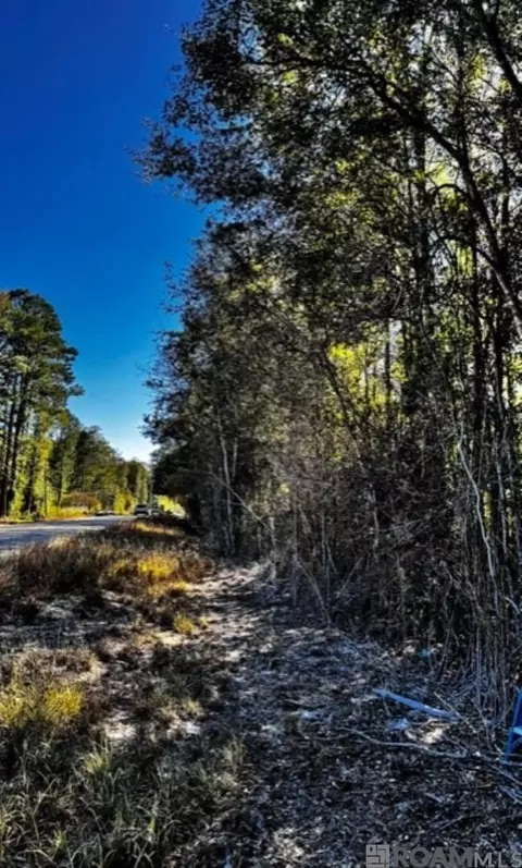 tbd Watkins Rd, Walker, LA 70785