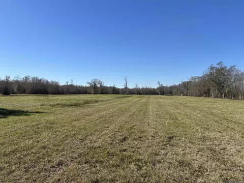 12176 La Hwy 431 Hwy, Saint Amant, LA 70774