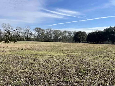 Dougherty Ln, Slaughter, LA 70748