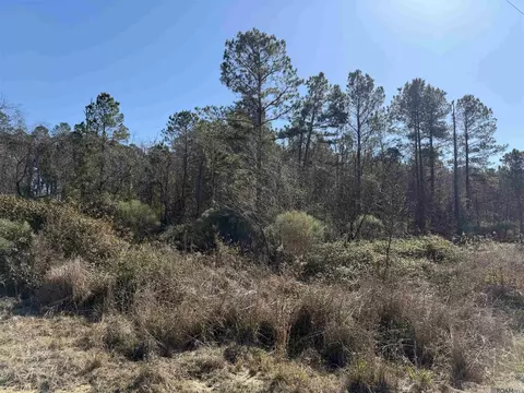 lot5 D Texas St, Livingston, LA 70754