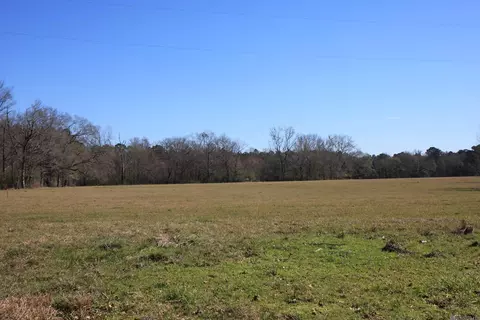 tbd Lot 2 La Hwy 958, Slaughter, LA 70777