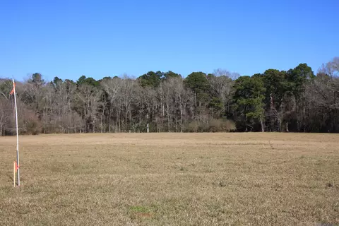 tbd Lot 5 La Hwy 958, Slaughter, LA 70777