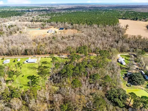 tbd Carthage Bluff Rd, Springfield, LA 70462 photo 9