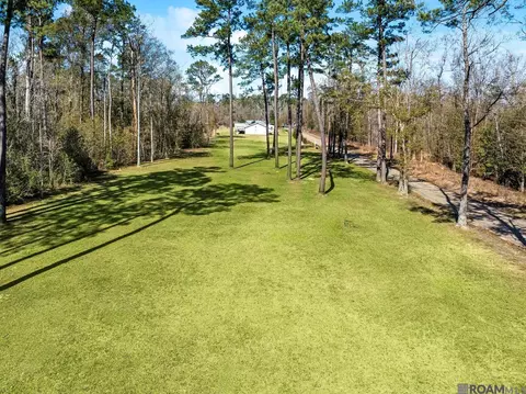 tbd Carthage Bluff Rd, Springfield, LA 70462 photo 13