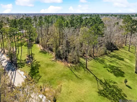 tbd Carthage Bluff Rd, Springfield, LA 70462 photo 2