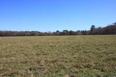 tbd Lot 7 Cook Rd, Slaughter, LA 70777