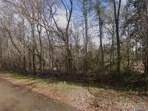 tbd Cline Dr, Baker, LA 70714 photo 4
