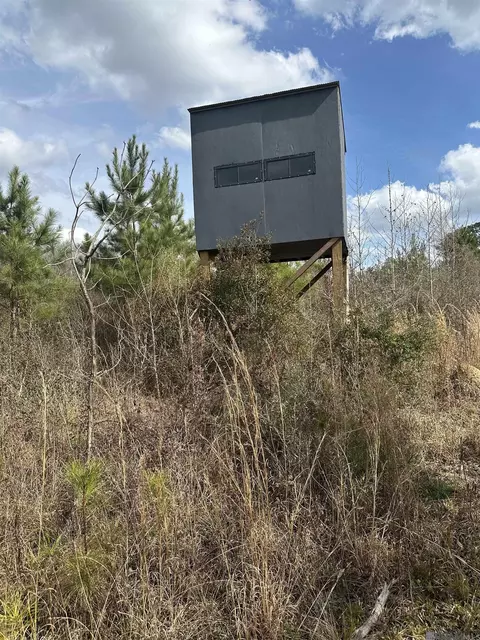 Other - 6101 Hancock Rd, Gloster, MS 39638 photo 3 of 5
