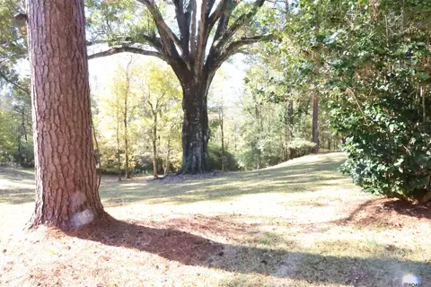 129 Ogden Rd, Natchez, MS 39120 photo 28