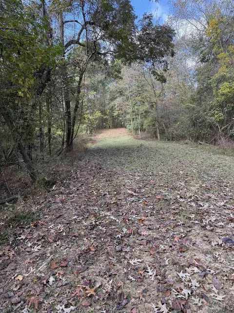 129 Ogden Rd, Natchez, MS 39120 photo 8
