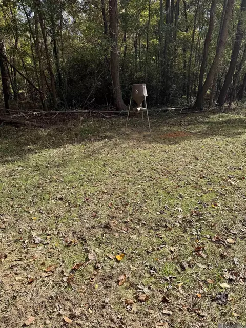 129 Ogden Rd, Natchez, MS 39120 photo 58