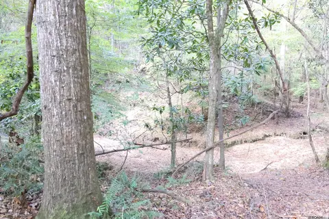 129 Ogden Rd, Natchez, MS 39120 photo 52