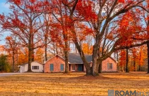 18439 Belle Alliance Rd, Prairieville, LA 70769