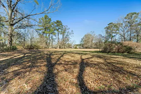 Exterior - 12944 Pleasant Rdg, Walker, LA 70785 photo 14 of 14