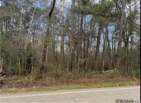 tbd Hwy 449 Hwy, Pine Grove, LA 70453