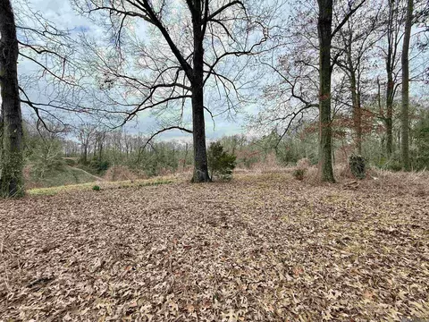 21 Southview Dr, Natchez, MS 39120 photo 9