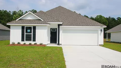 24741 Berry Ridge Ln, Springfield, LA 70462