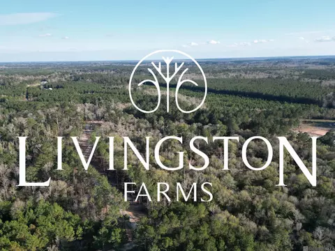 lot3 Livingston Farms Ln, Livingston, LA 70754
