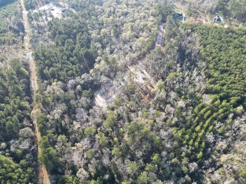 lot3 Livingston Farms Ln, Livingston, LA 70754