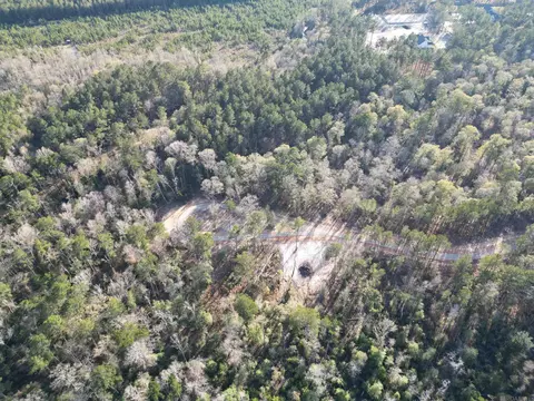 lot5 Livingston Farms Ln, Livingston, LA 70754