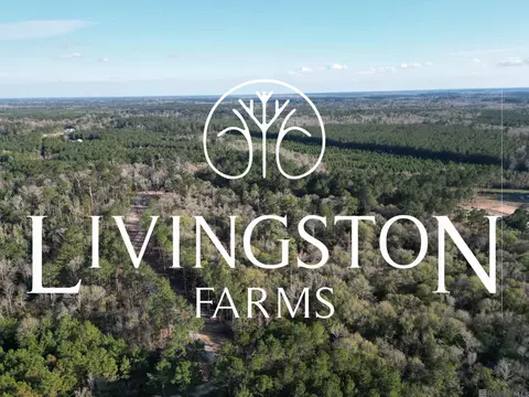 lot5 Livingston Farms Ln, Livingston, LA 70754