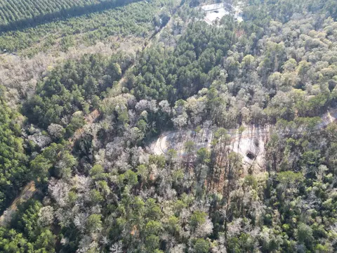 lot6 Livingston Farms Ln, Livingston, LA 70754