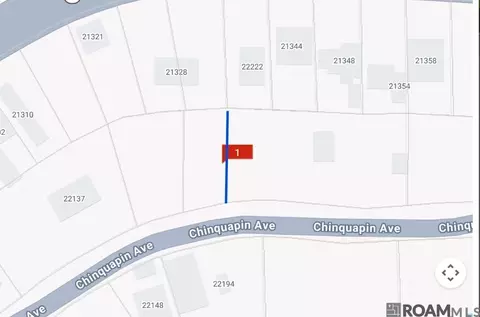 22222 Chinquapin Ave, Maurepas, LA 70449
