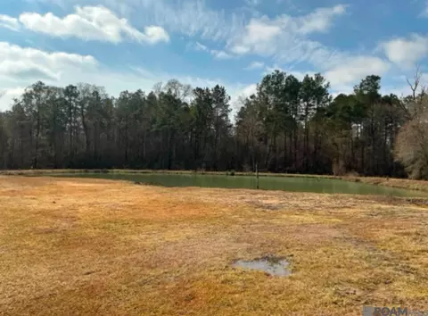 20229 Hwy 16, Denham Springs, LA 70726