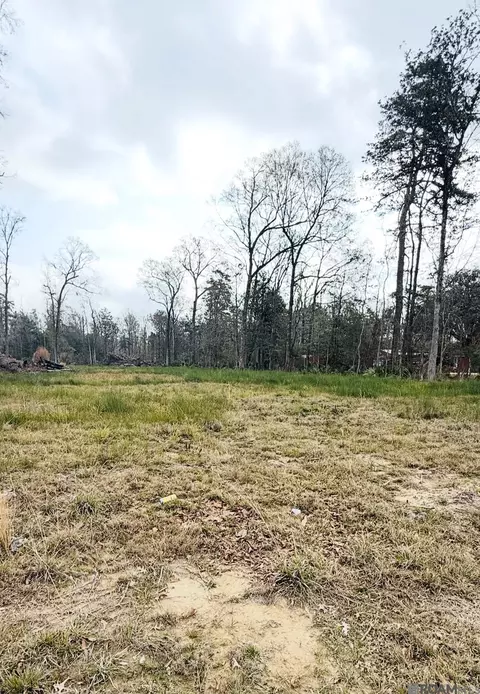 29490 Red Oak Dr, Walker, LA 70785