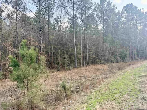 tbd Hwy 1036 Hwy, Holden, LA 70744