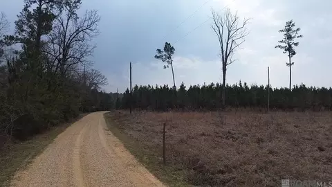 Tract 1a Teal Mcdaniel Rd, Greensburg, LA 70441