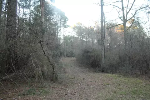 tbd Odeal Williams Ln, Ethel, LA 70730