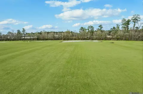 21293 Mayberry Ln, Livingston, LA 70754