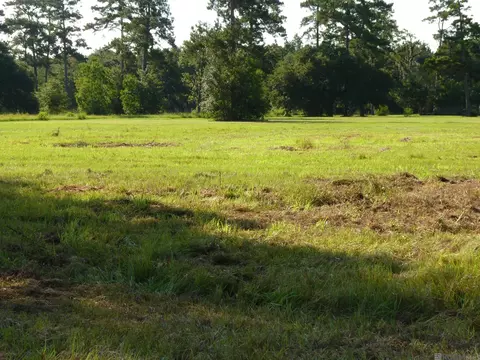 lot7 Lynda, Killian, LA 70462