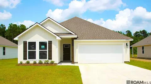 24735 Berry Ridge Ln, Springfield, LA 70462