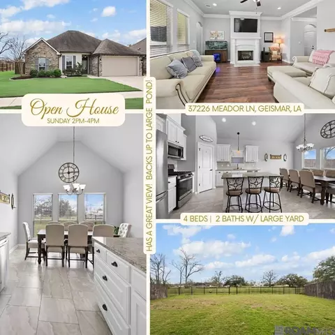37226 Meador Ln, Geismar, LA 70734