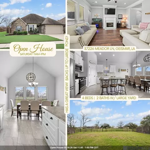 37226 Meador Ln, Geismar, LA 70734
